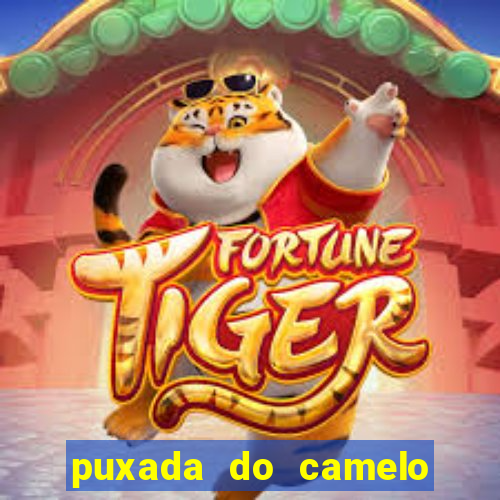 puxada do camelo no jogo do bicho